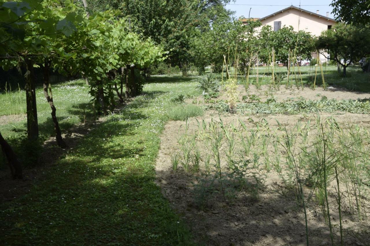 Bed and Breakfast Capannone111 Кастігліоне-ді-Равенна Екстер'єр фото